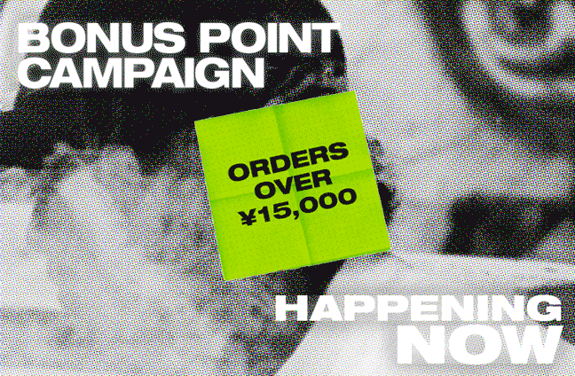 HOLIDAY POINT CAMPAIGN