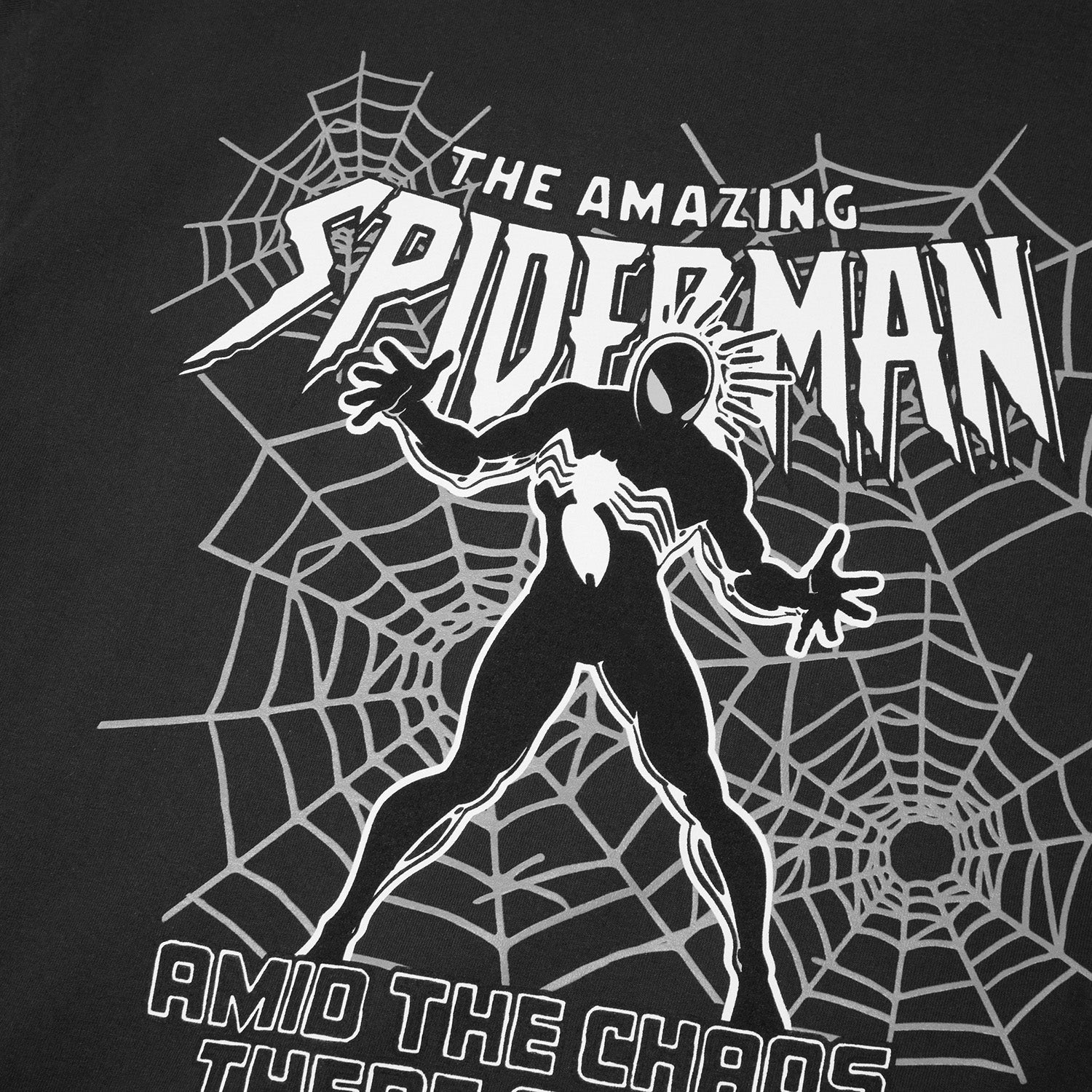 HUF (ハフ) Worldwide JP /T-SHIRTS(Tシャツ)/ HUF X SPIDER-MAN SECRET WARS WASHED TEE商品 / WASHED BLACK