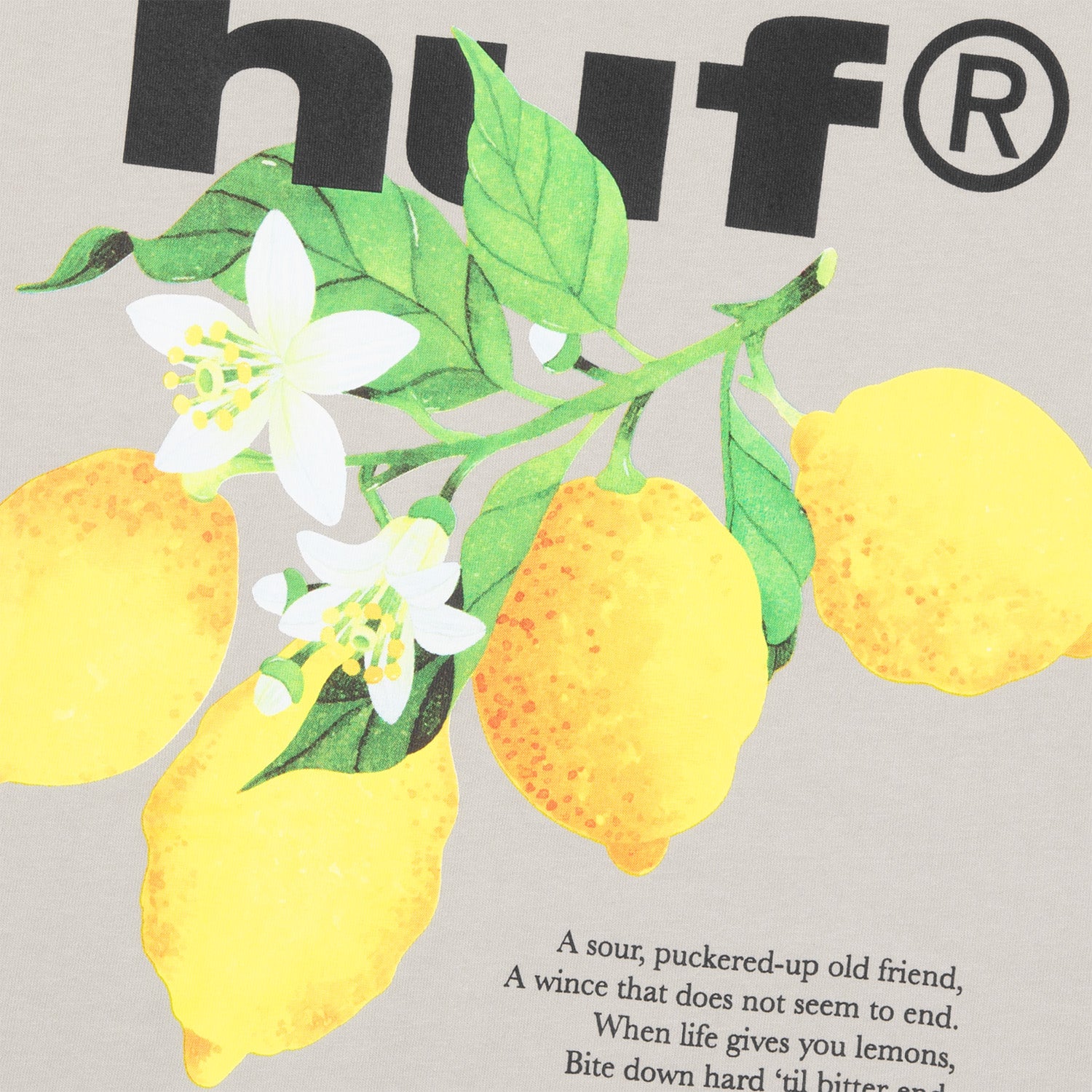 HUF (ハフ) Worldwide JP /T-SHIRTS(Tシャツ)/ SOUR LEMON TEE商品 / NAVY