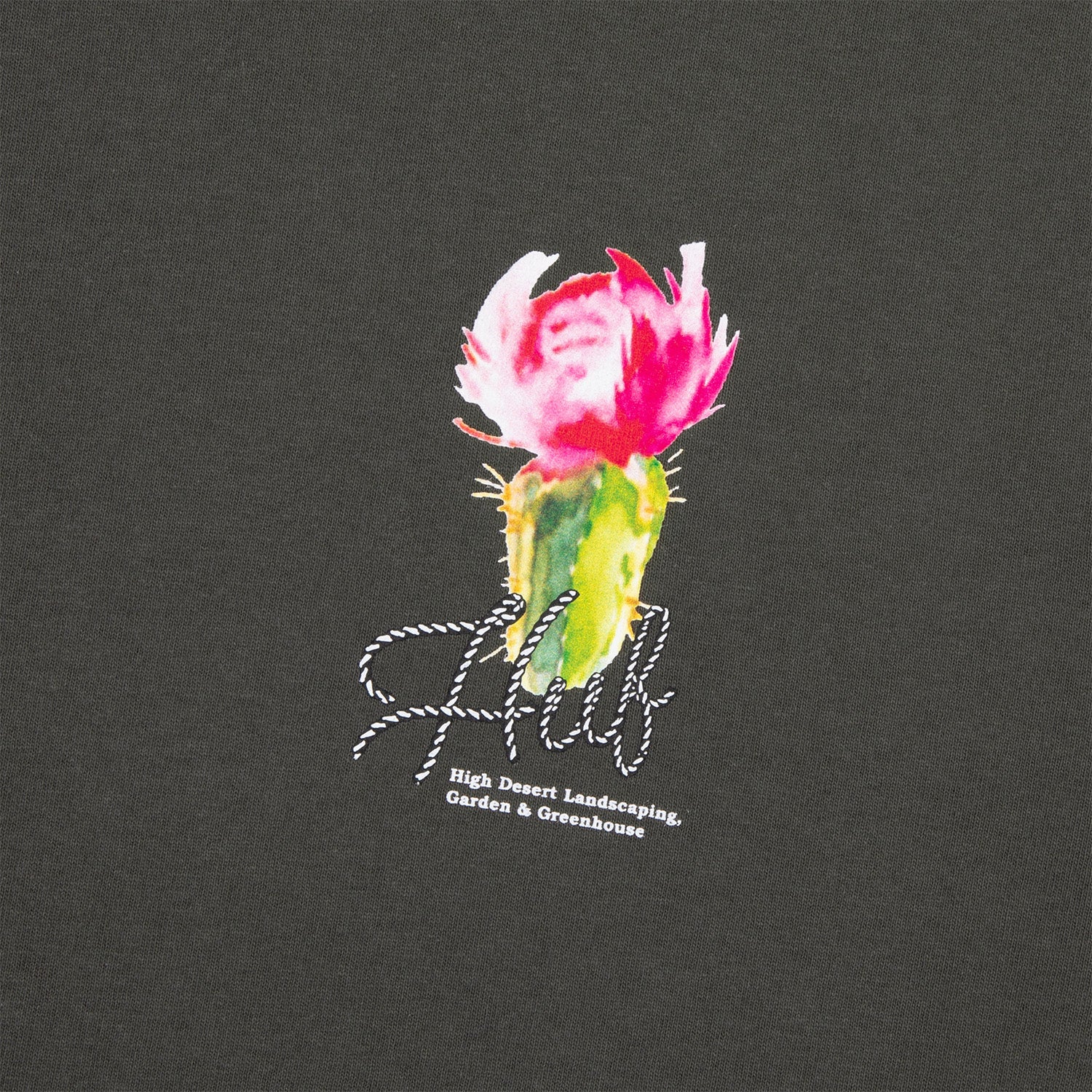 HUF (ハフ) Worldwide JP /T-SHIRTS(Tシャツ)/ DESERT ROSE TEE商品 / LT YELLOW