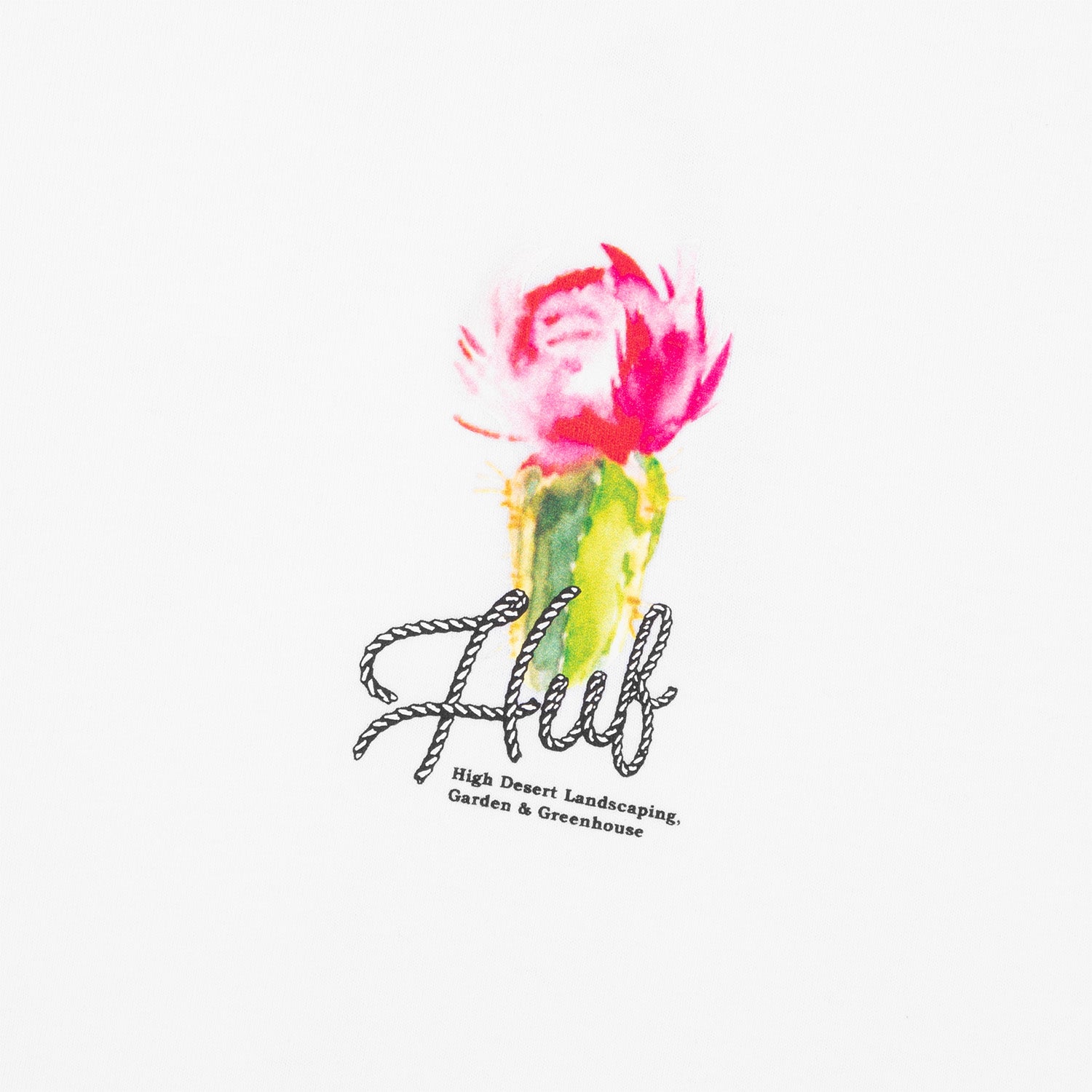 HUF (ハフ) Worldwide JP /T-SHIRTS(Tシャツ)/ DESERT ROSE TEE商品 / LT YELLOW