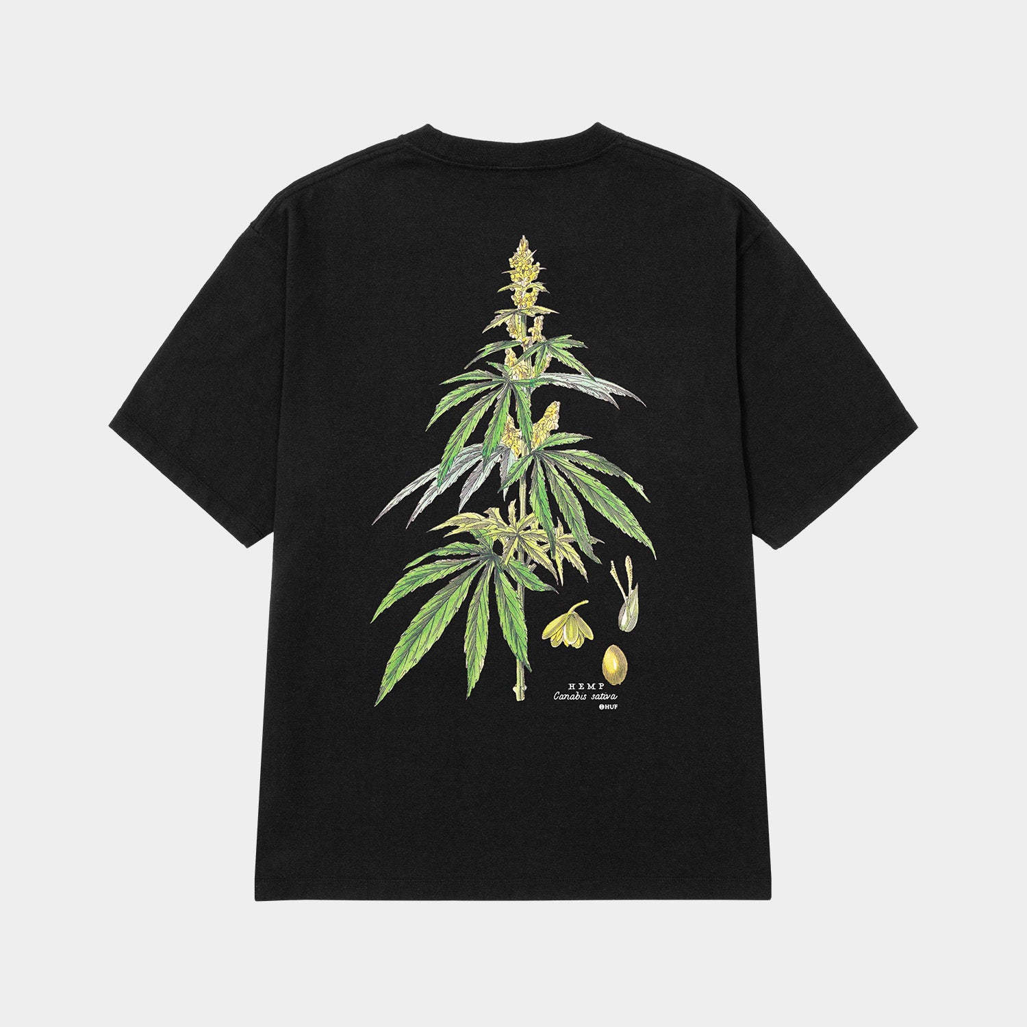 HUF (ハフ) Worldwide JP /T-SHIRTS(Tシャツ)/ huf CO-OP ARBORETUM TEE商品 / NATURAL