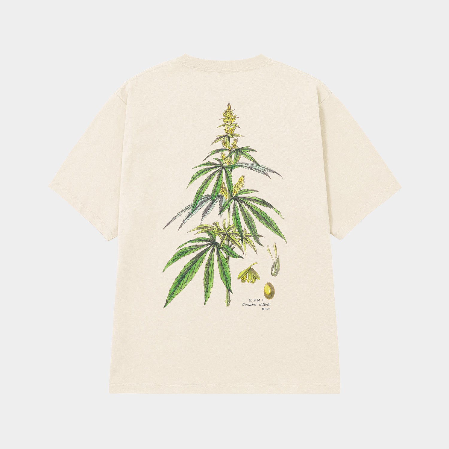 HUF (ハフ) Worldwide JP /T-SHIRTS(Tシャツ)/ huf CO-OP ARBORETUM TEE商品 / NATURAL