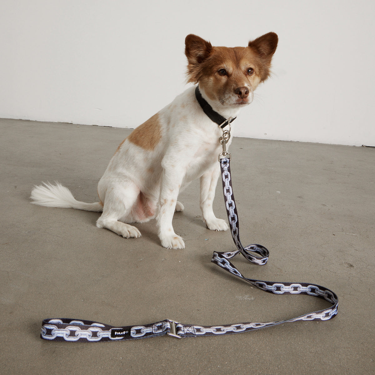 HUF (ハフ) Worldwide JP / OTHERS（その他アクセサリー） / UNCHAINED DOG LEASH商品 / BLACK