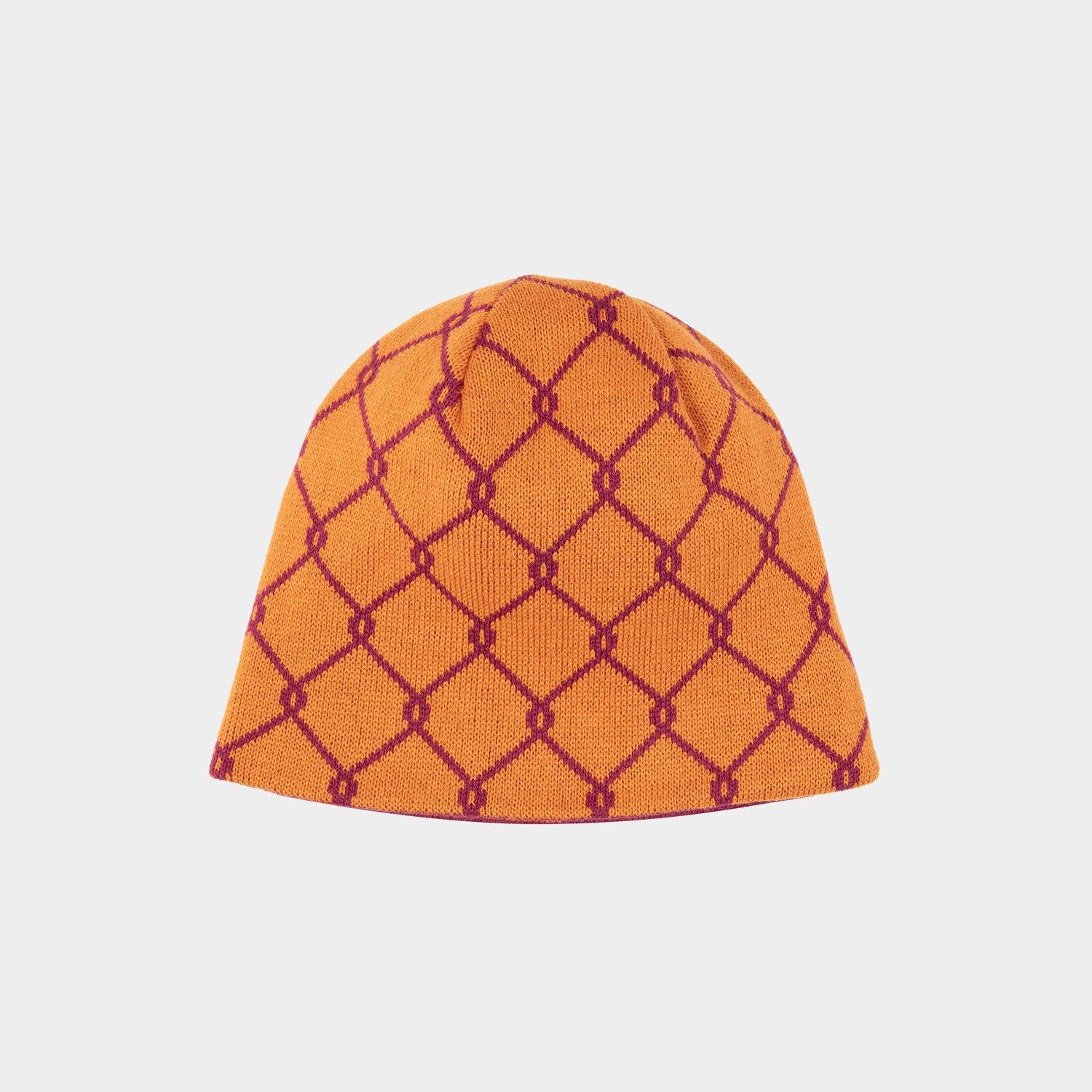 HUF (ハフ) Worldwide JP /HATS ＆ BEANIES（ハット&ビーニー）/ TOKEN REVERSIBLE SKULL BEANIE商品 / BISON