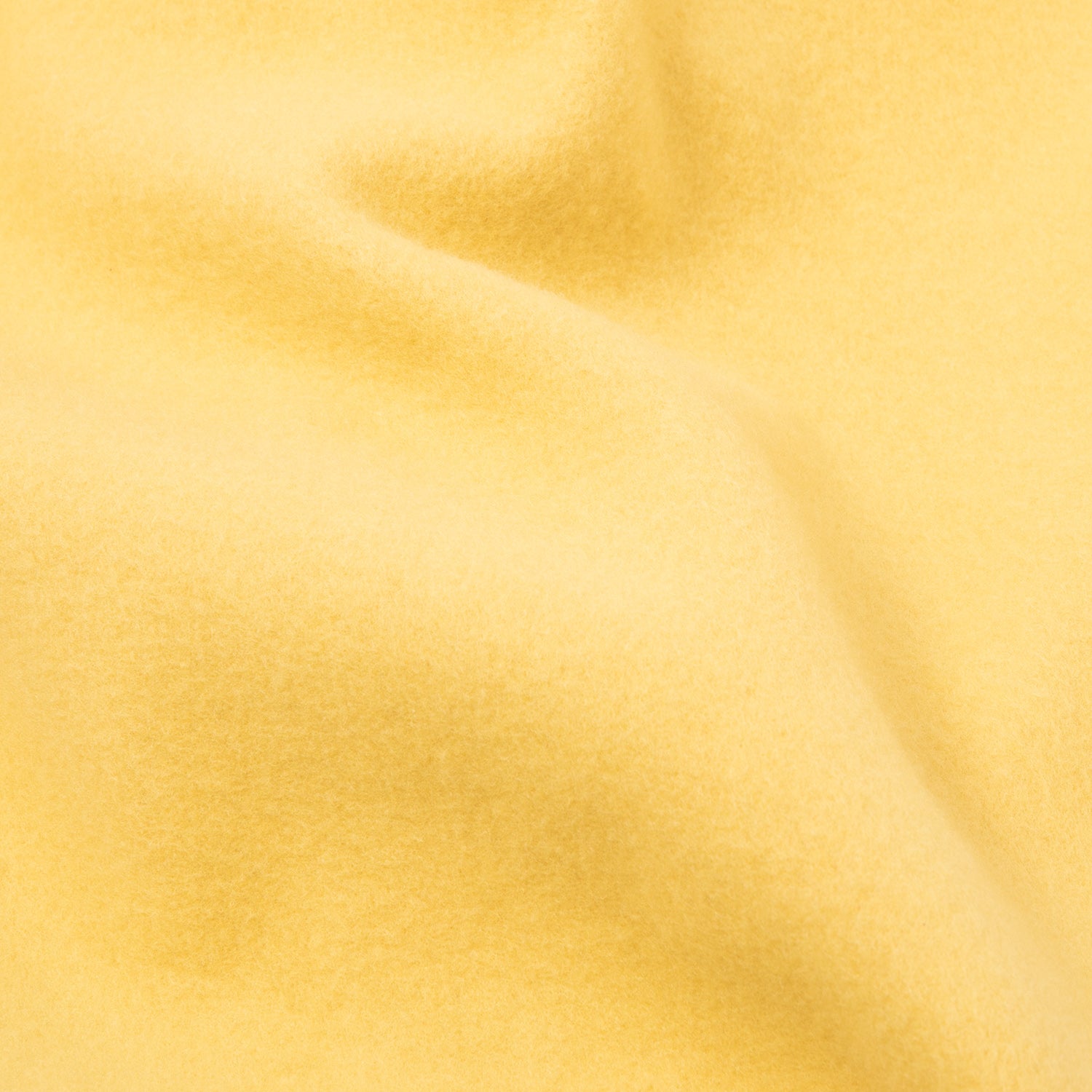 HUF (ハフ) Worldwide JP /HOODIES（パーカー）/ REGIONAL HOODIE商品 / CITRUS