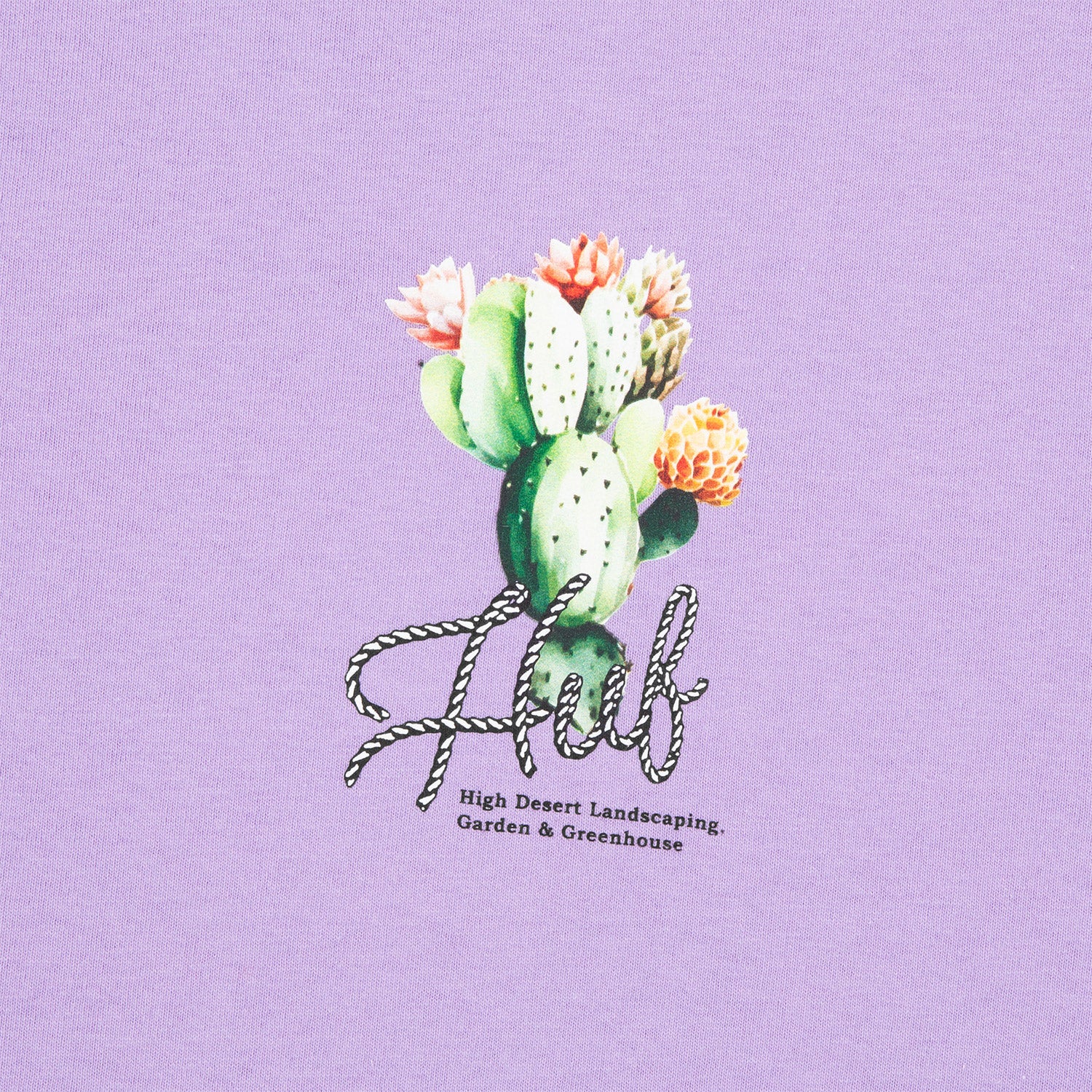 HUF (ハフ) Worldwide JP /T-SHIRTS（Tシャツ）/ EAST ROCKS TEE商品 / LT PURPLE