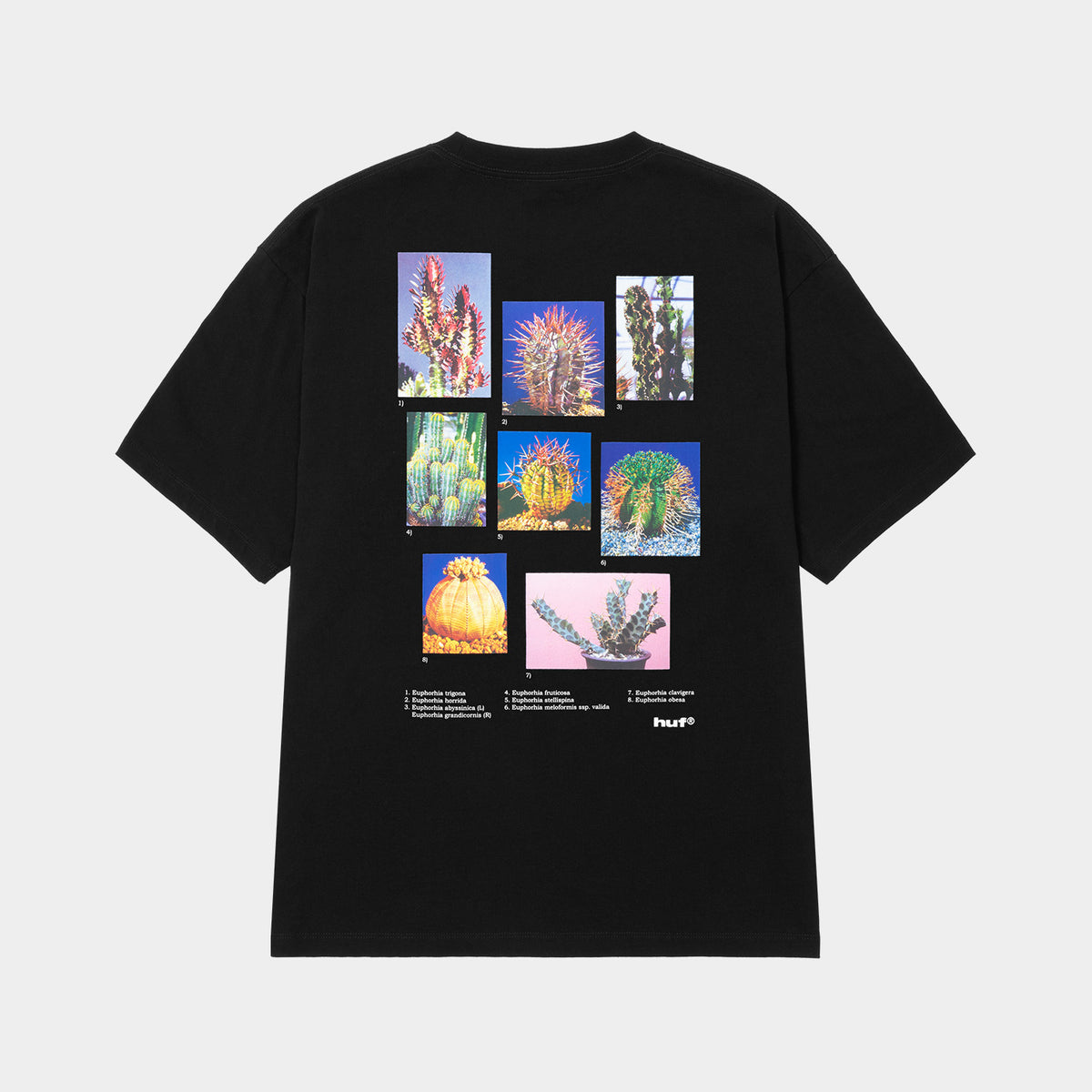 IEIC GRAPHIC TEE｜T-SHIRTS（Tシャツ）｜【公式通販 HUF】｜ハフ