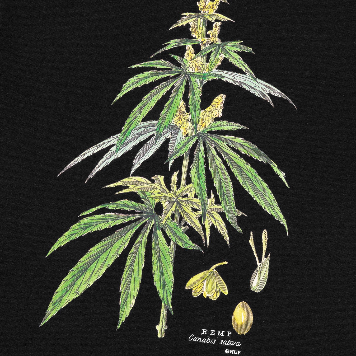 HUF (ハフ) Worldwide JP /T-SHIRTS（Tシャツ）/ huf CO-OP ARBORETUM TEE商品 / NATURAL