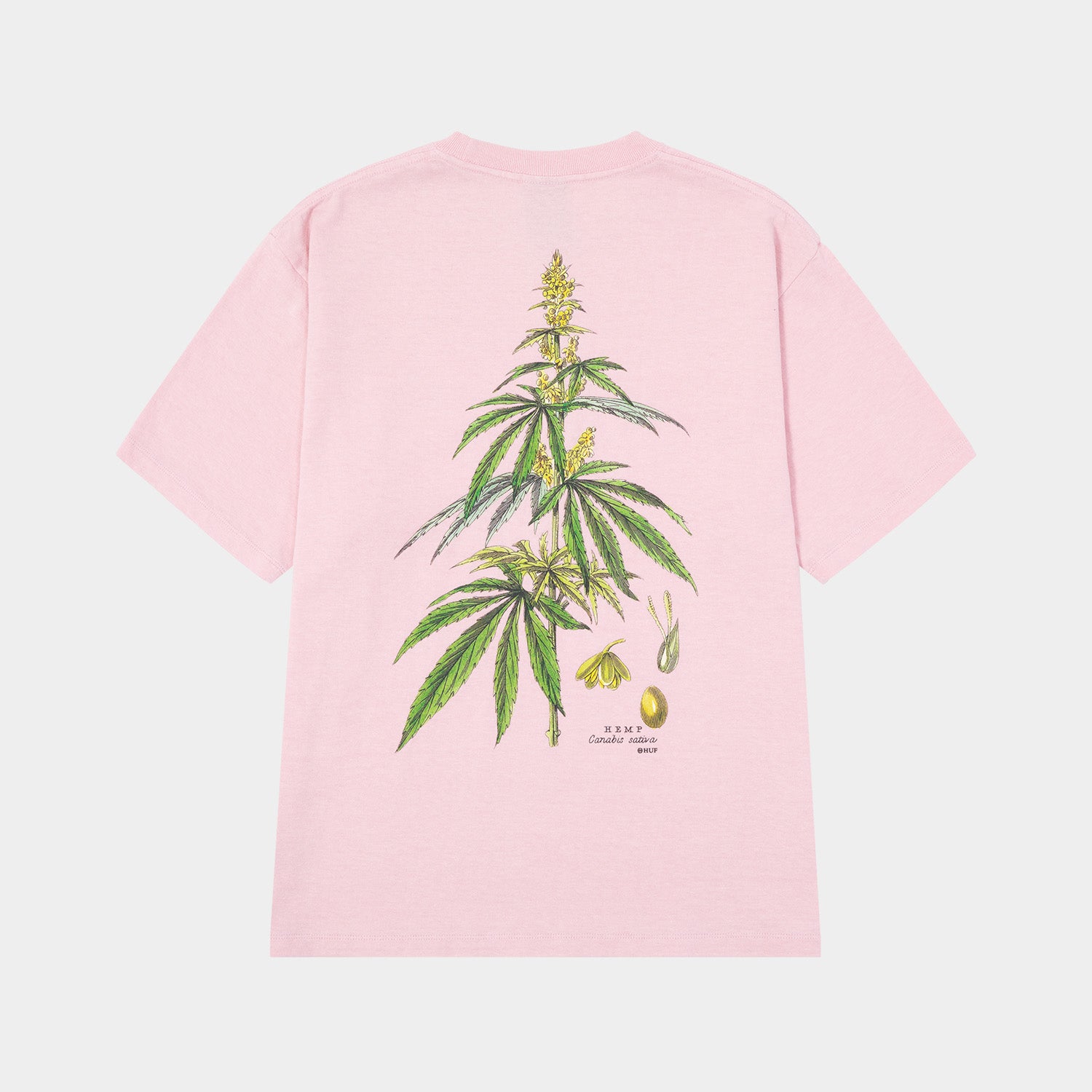 HUF (ハフ) Worldwide JP /T-SHIRTS（Tシャツ）/ huf CO-OP ARBORETUM TEE商品 / NATURAL