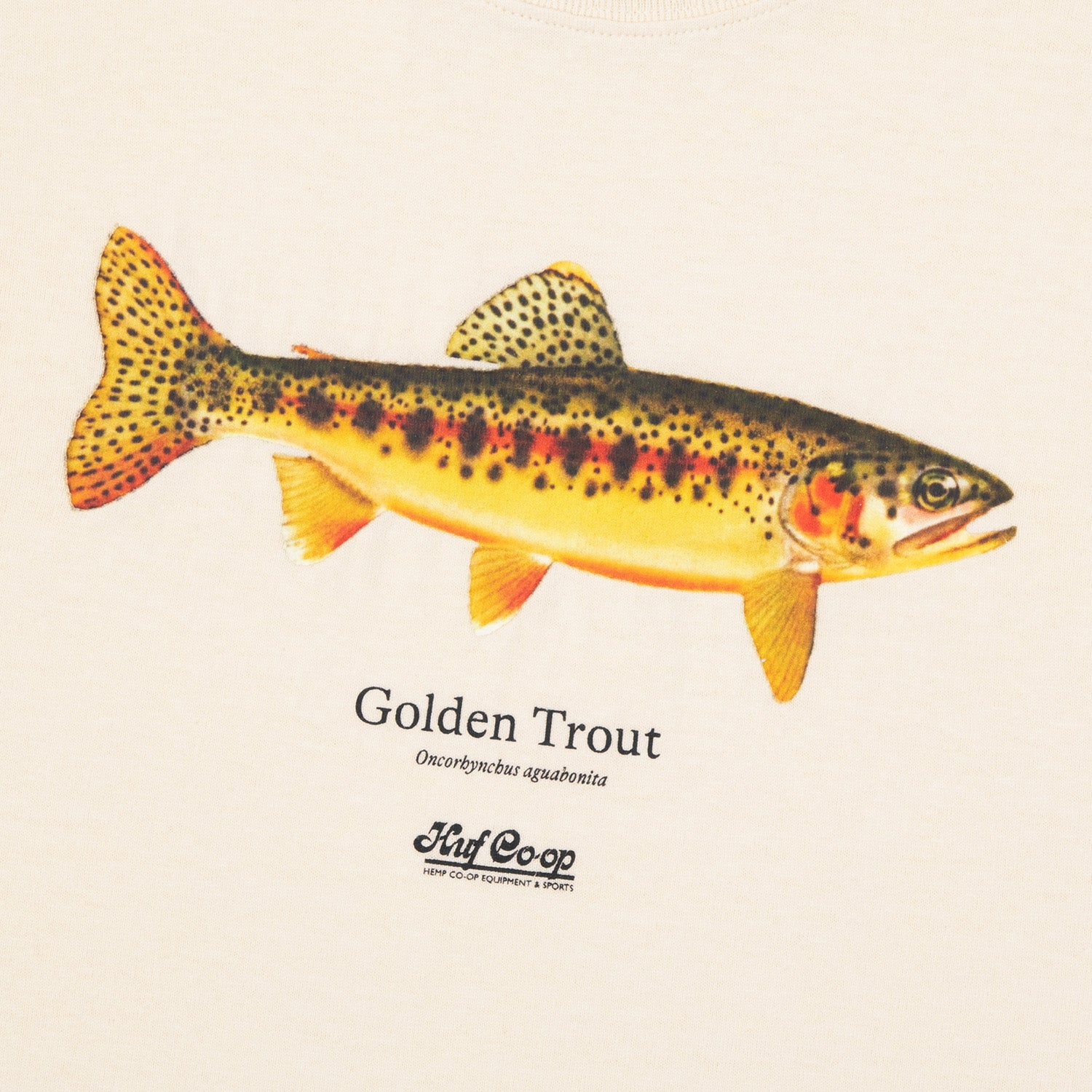 HUF (ハフ) Worldwide JP /T-SHIRTS（Tシャツ）/ huf CO-OP GOLDEN TROUT TEE商品 / PURPLE NAVY
