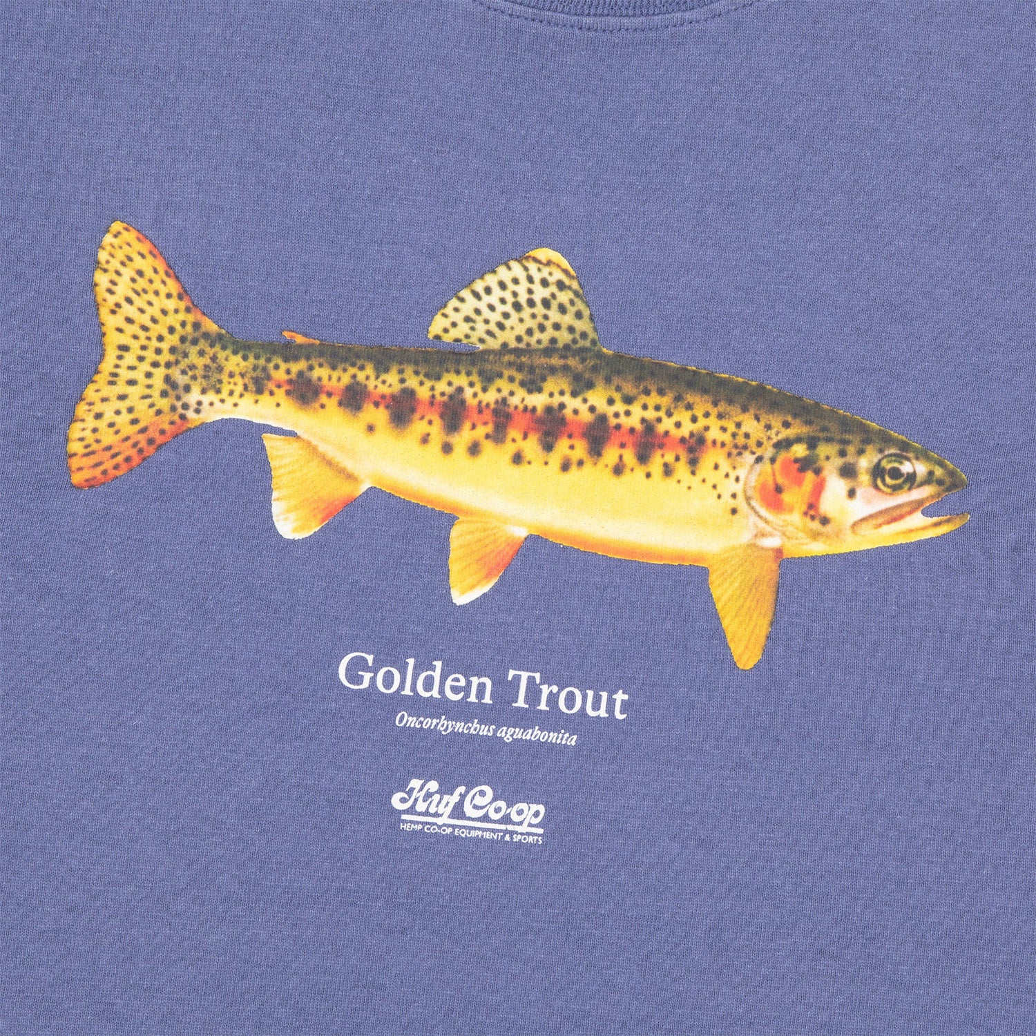 HUF (ハフ) Worldwide JP /T-SHIRTS（Tシャツ）/ huf CO-OP GOLDEN TROUT TEE商品 / PURPLE NAVY